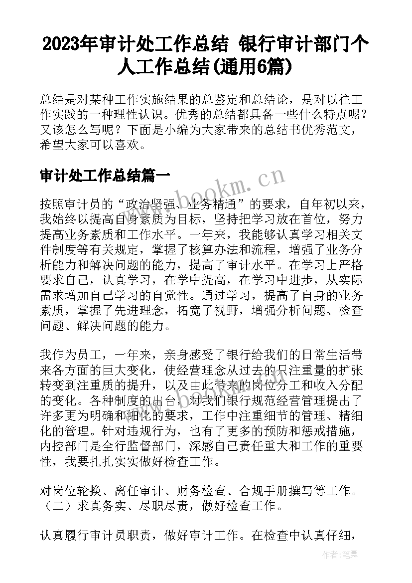 2023年审计处工作总结 银行审计部门个人工作总结(通用6篇)