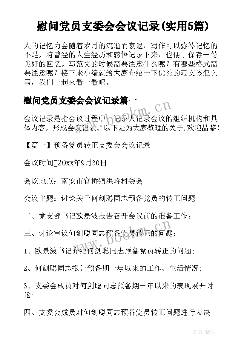 慰问党员支委会会议记录(实用5篇)