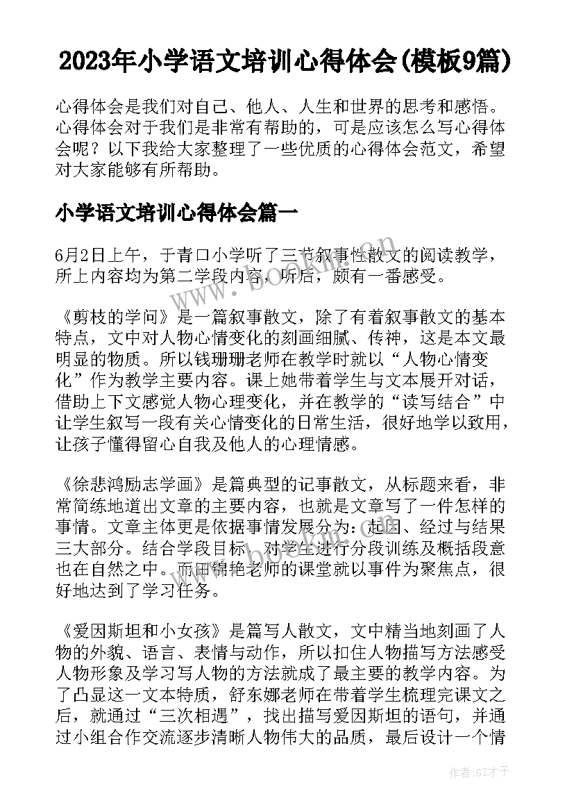 2023年小学语文培训心得体会(模板9篇)