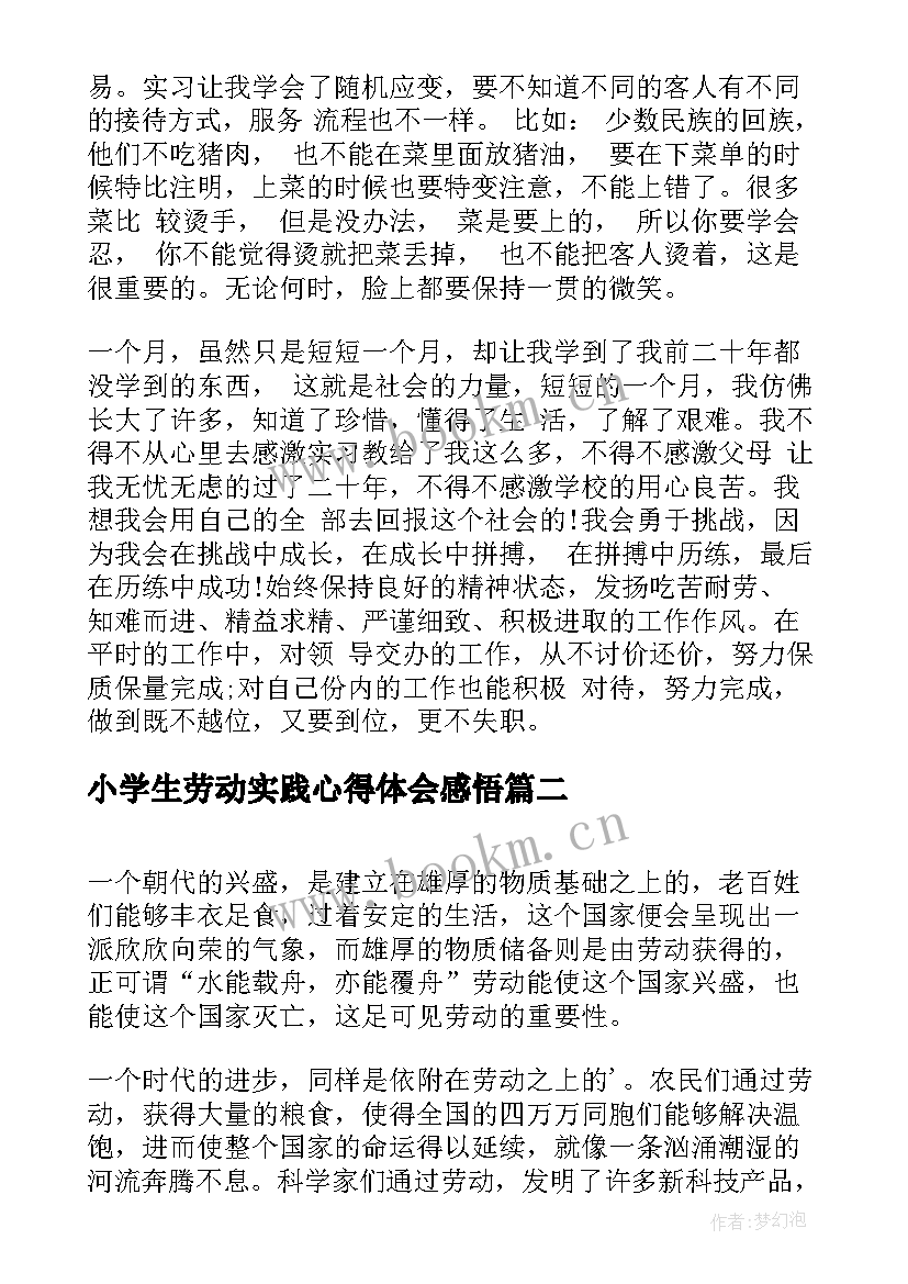 2023年小学生劳动实践心得体会感悟(汇总10篇)