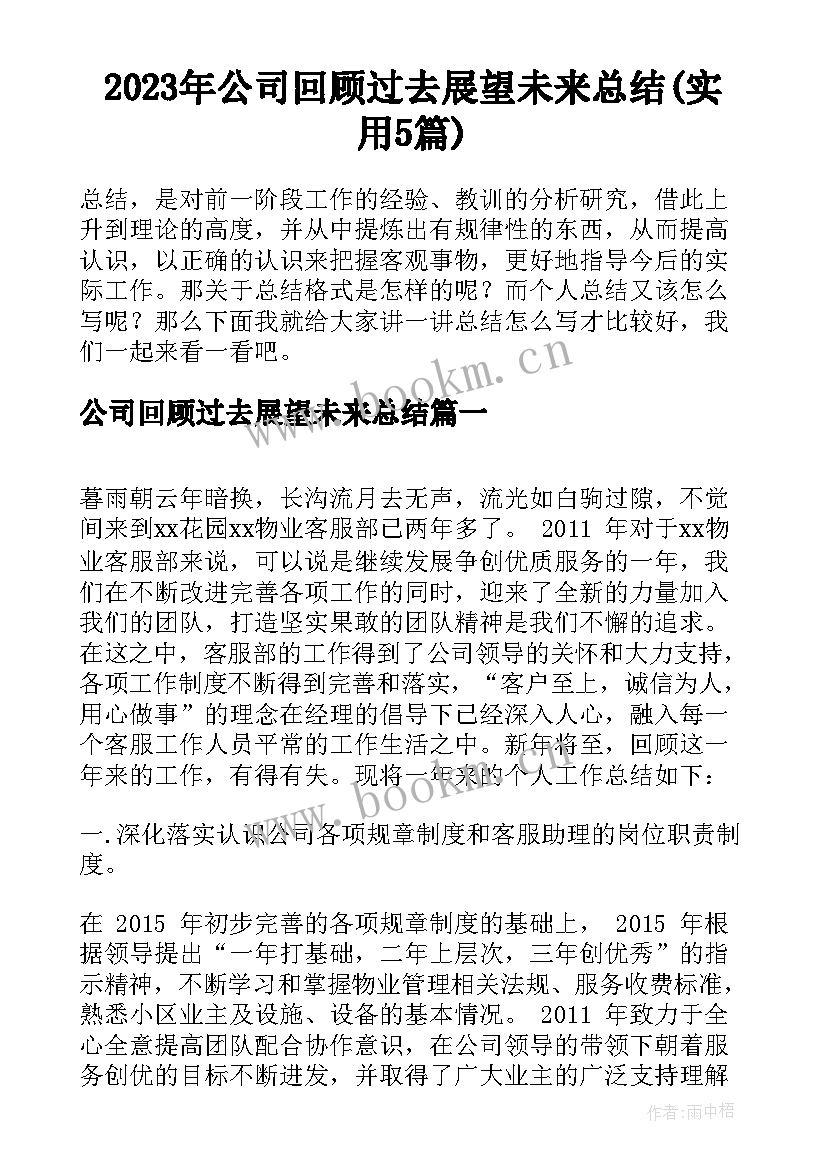 2023年公司回顾过去展望未来总结(实用5篇)