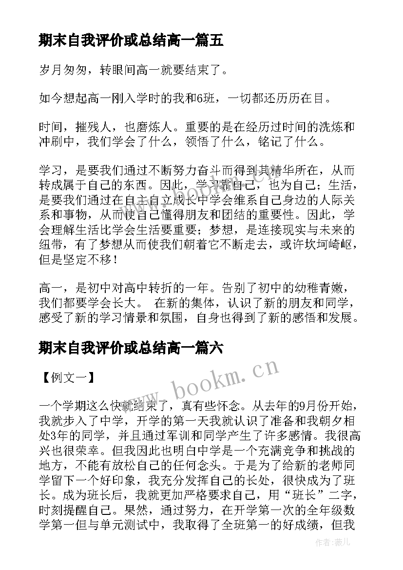 2023年期末自我评价或总结高一(优质10篇)