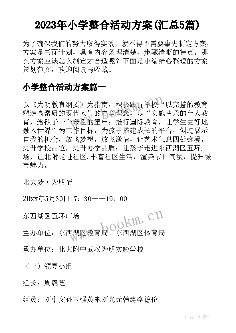 2023年小学整合活动方案(汇总5篇)