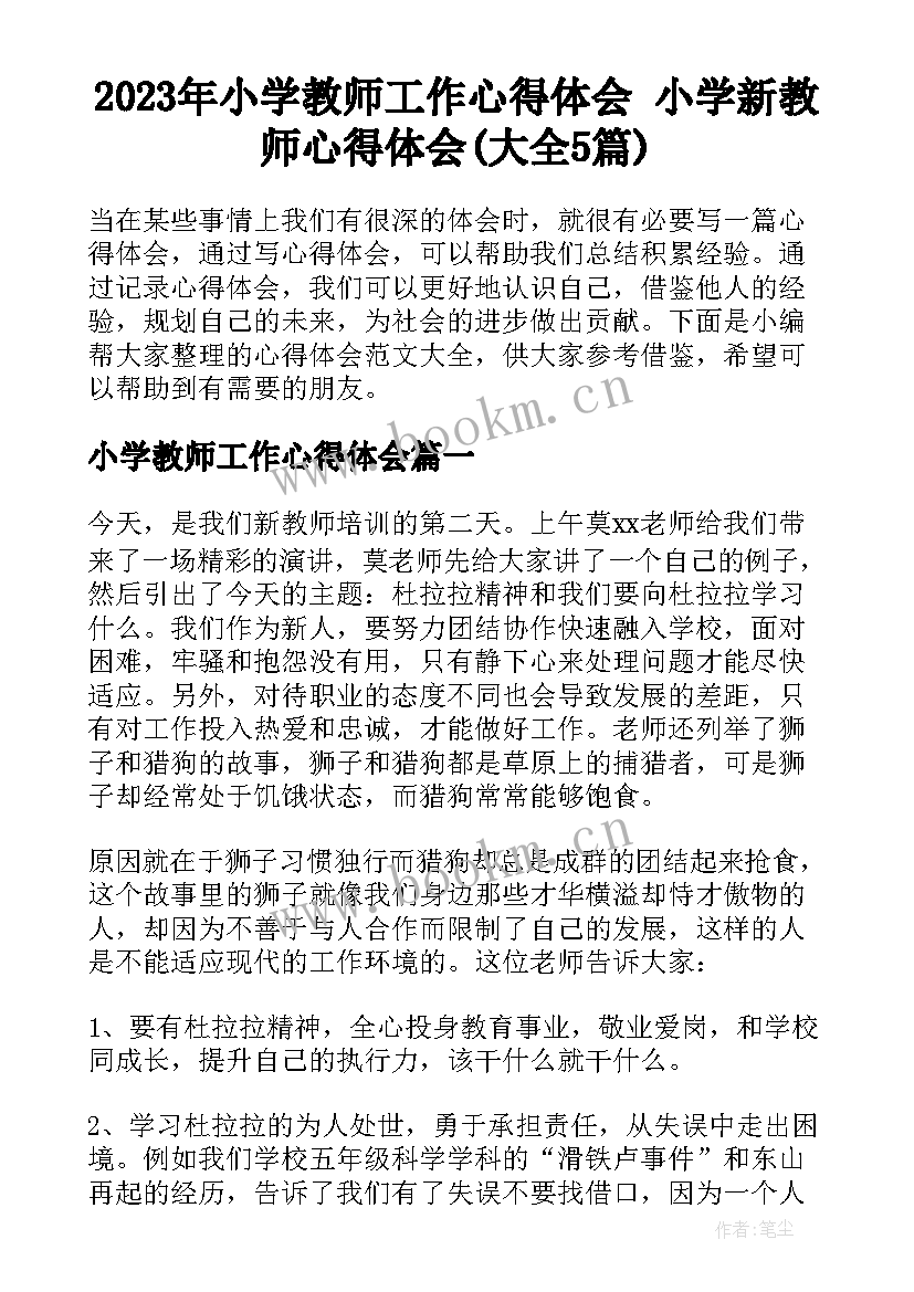 2023年小学教师工作心得体会 小学新教师心得体会(大全5篇)