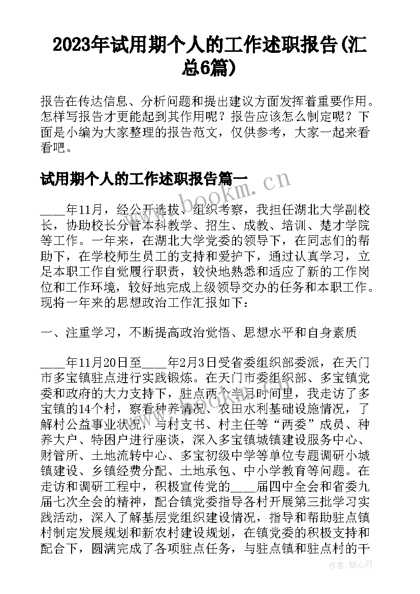 2023年试用期个人的工作述职报告(汇总6篇)