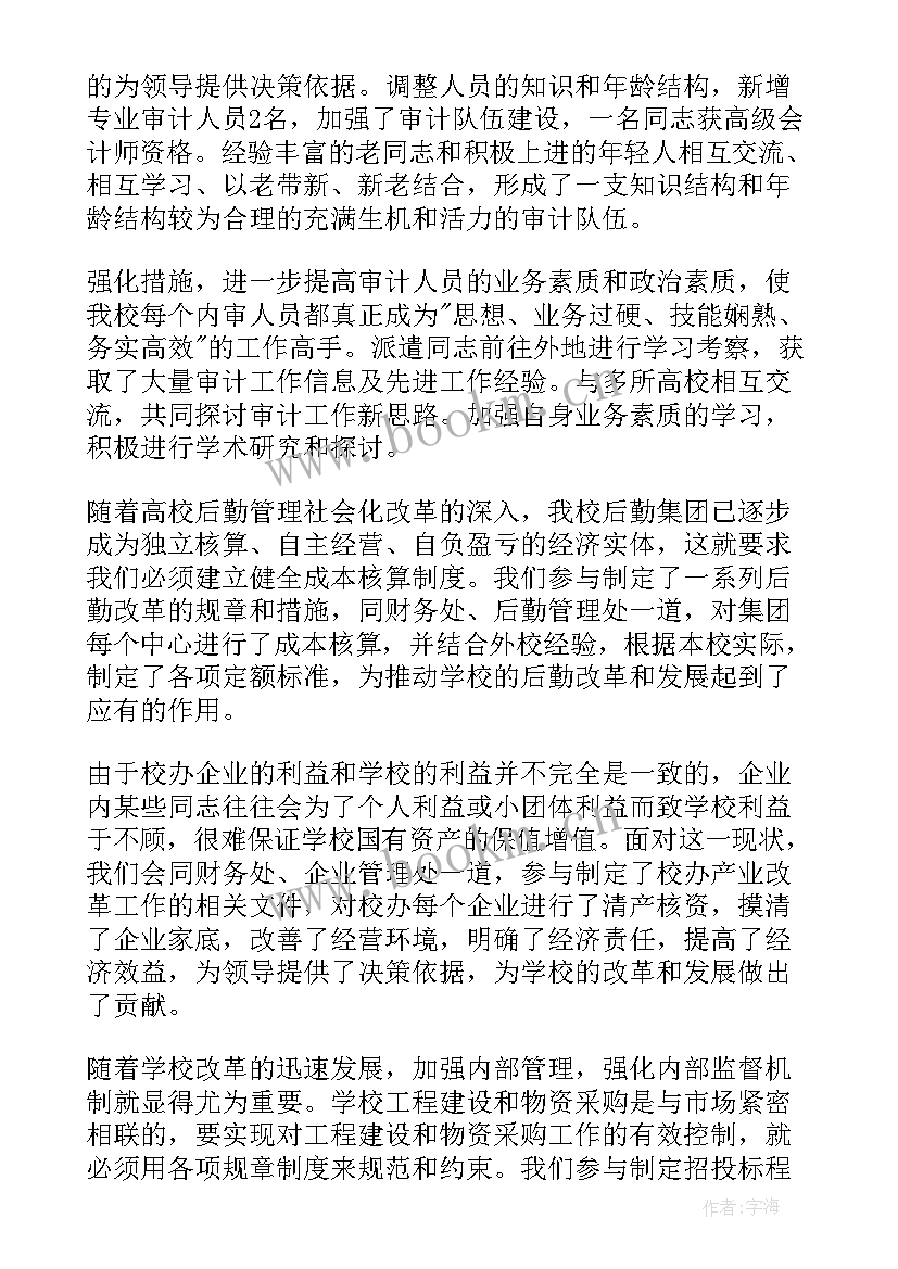 最新审计人员年度工作总结(精选6篇)