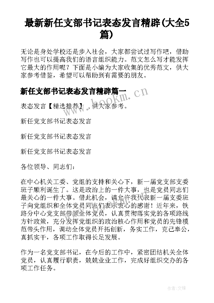 最新新任支部书记表态发言精辟(大全5篇)