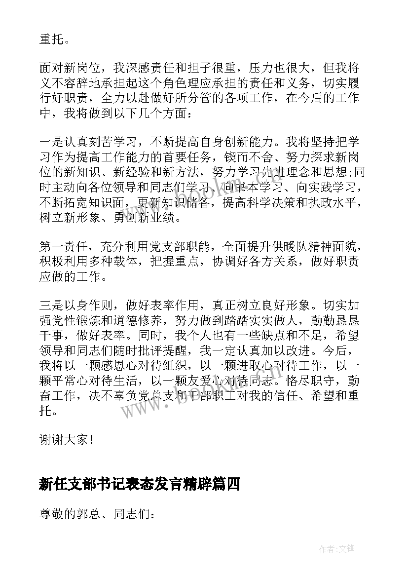 最新新任支部书记表态发言精辟(大全5篇)