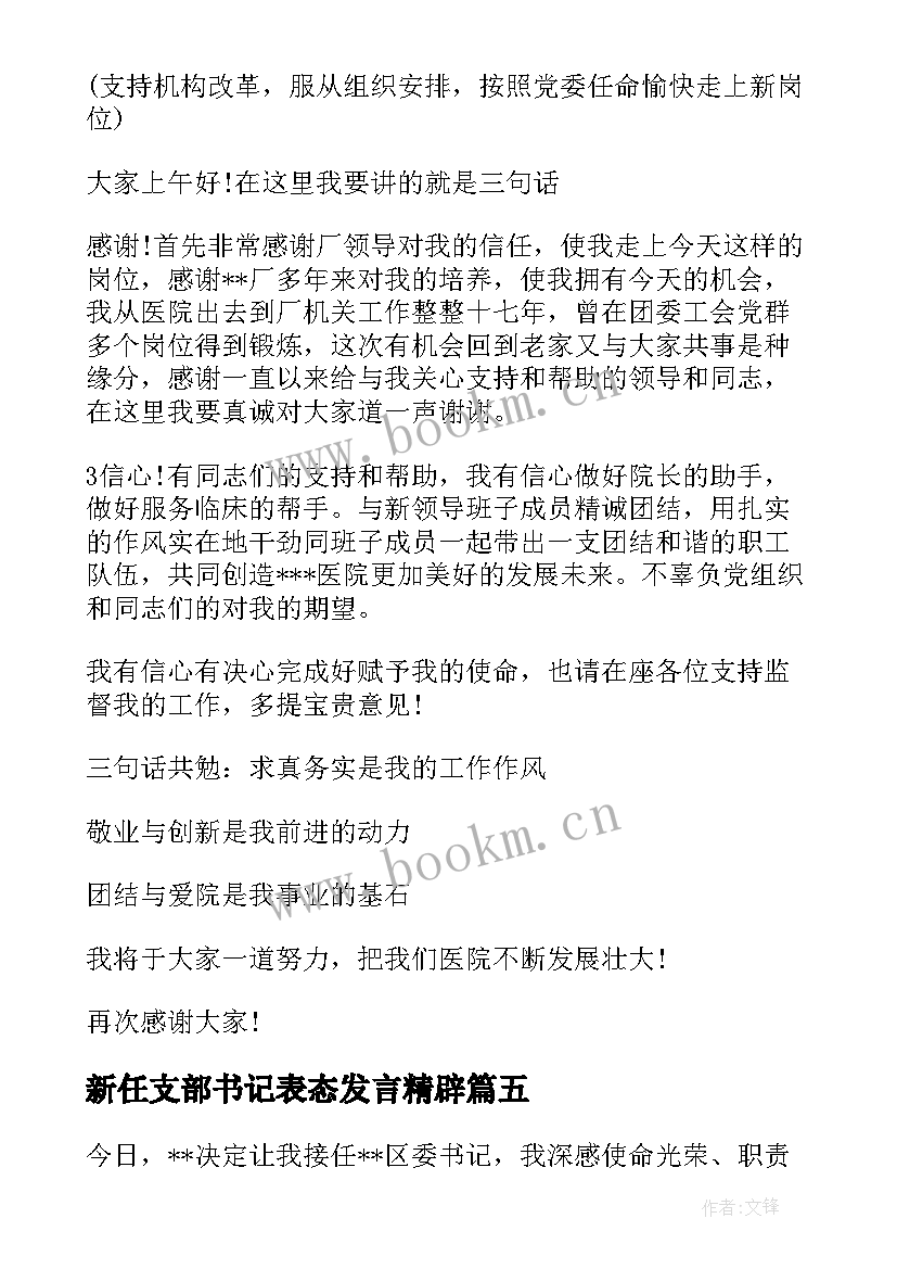 最新新任支部书记表态发言精辟(大全5篇)