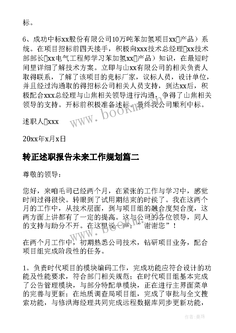 2023年转正述职报告未来工作规划(大全6篇)