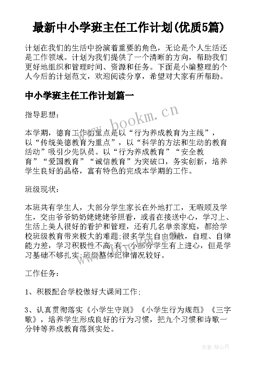 最新中小学班主任工作计划(优质5篇)