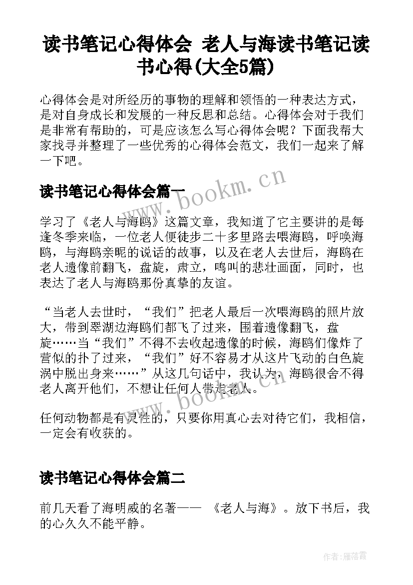 读书笔记心得体会 老人与海读书笔记读书心得(大全5篇)