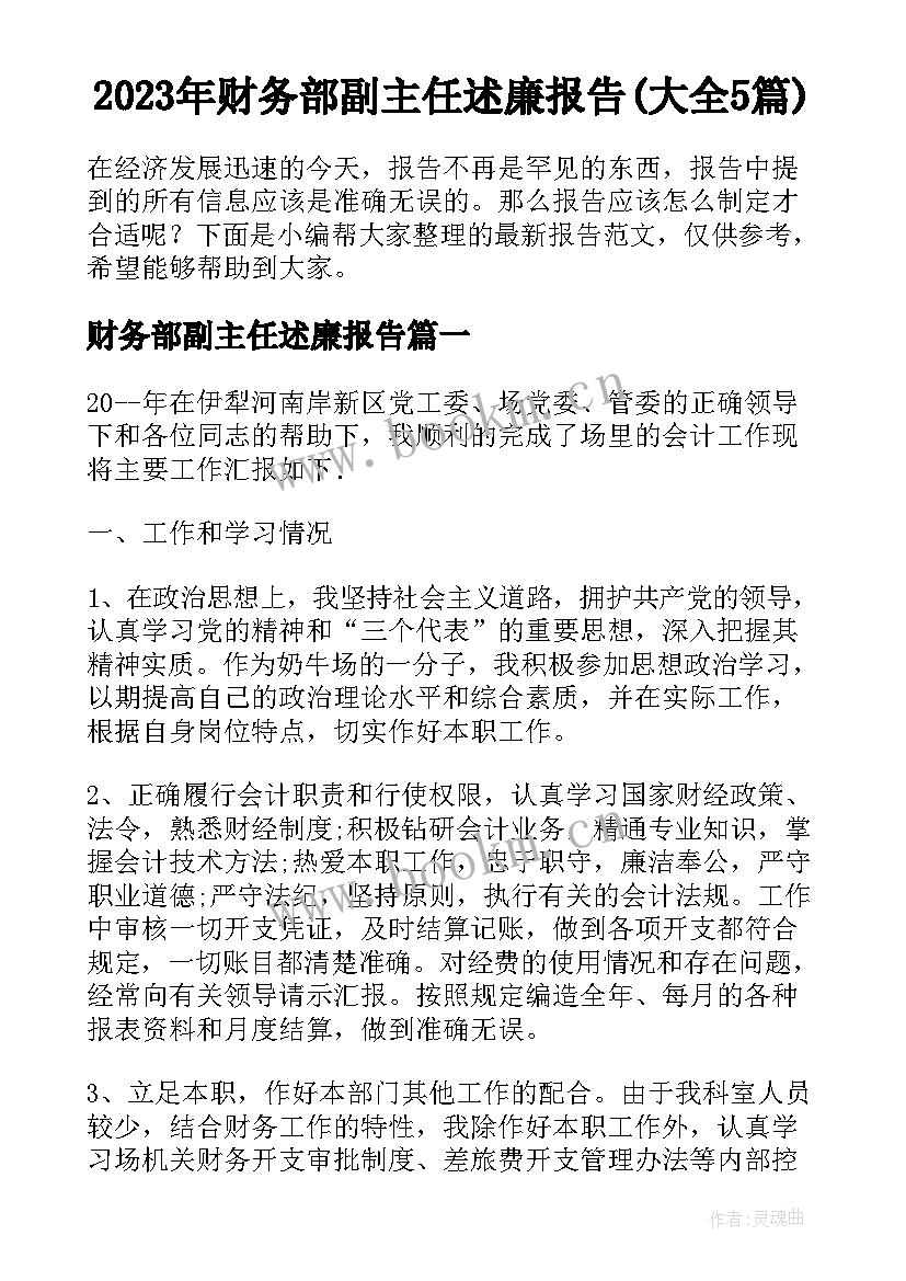 2023年财务部副主任述廉报告(大全5篇)