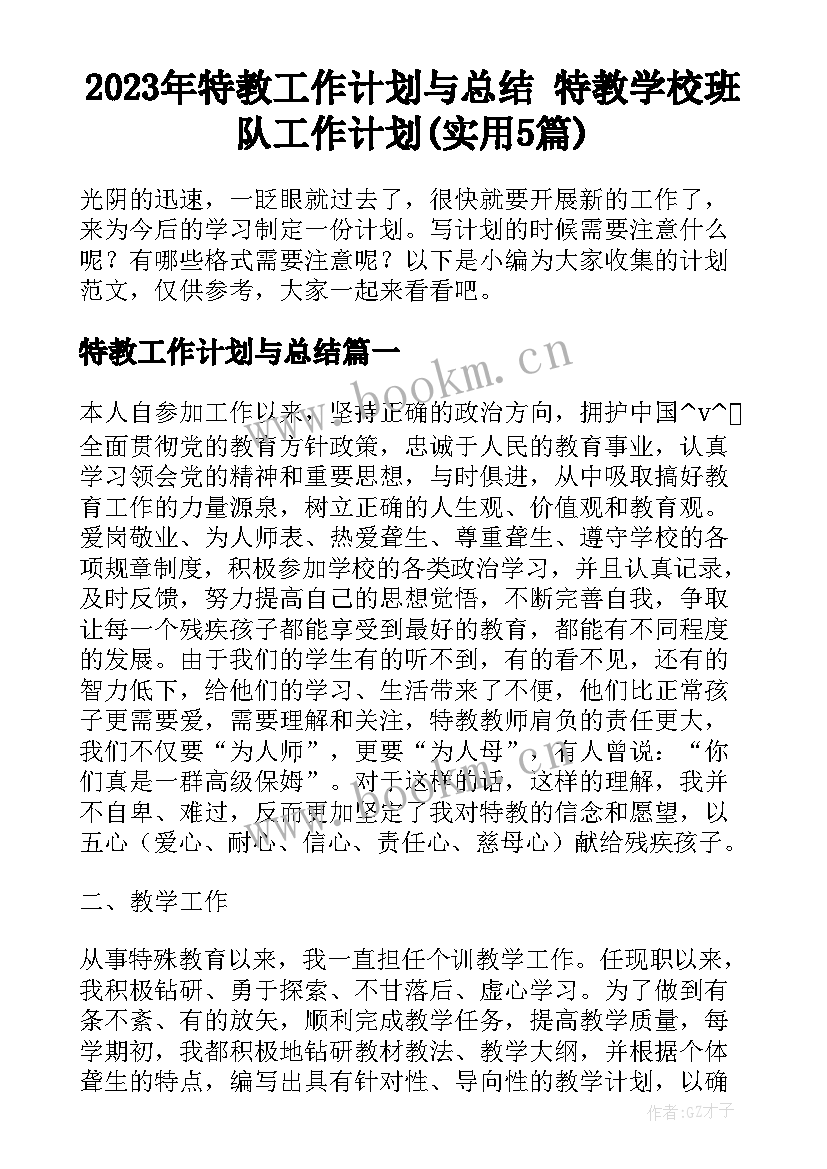 2023年特教工作计划与总结 特教学校班队工作计划(实用5篇)