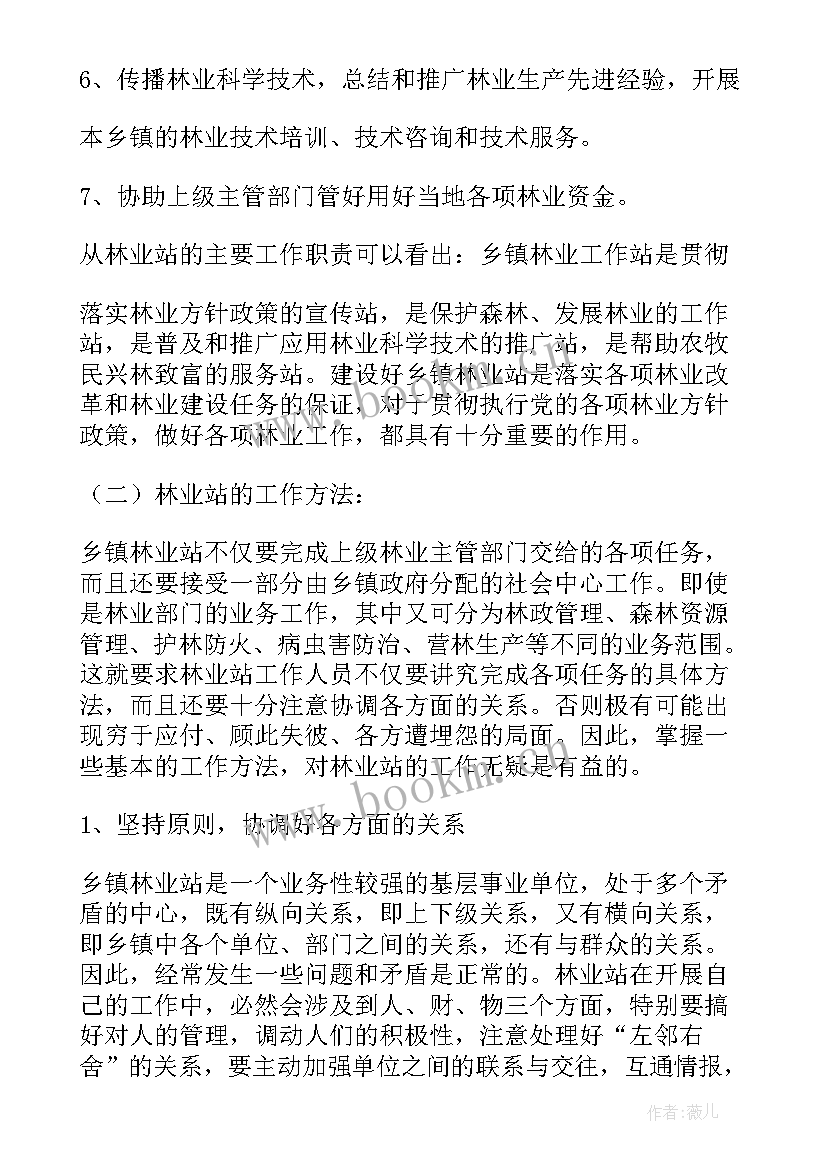 最新乡镇基层个人工作总结 乡镇基层文化站个人工作总结(模板5篇)