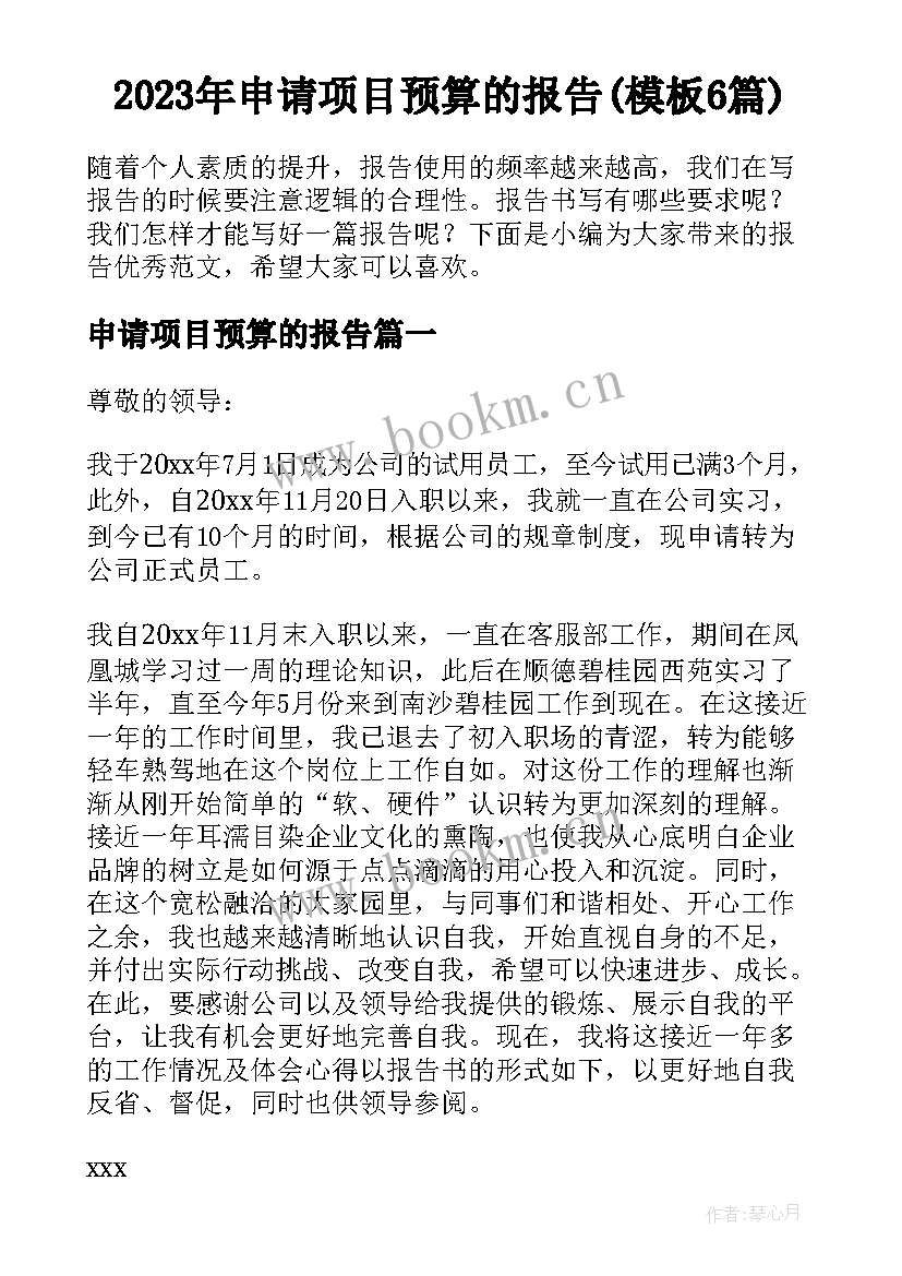 2023年申请项目预算的报告(模板6篇)