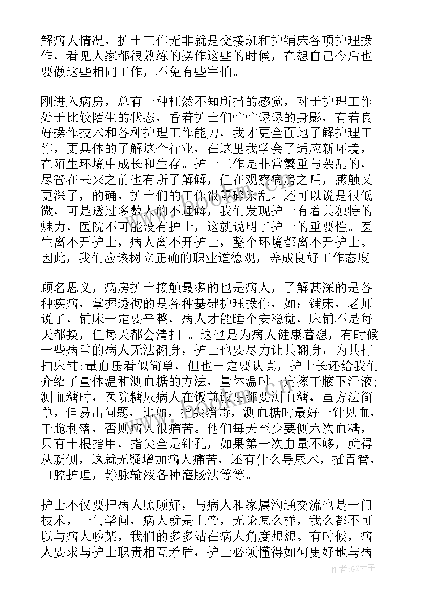 2023年云实践报告格式(模板6篇)