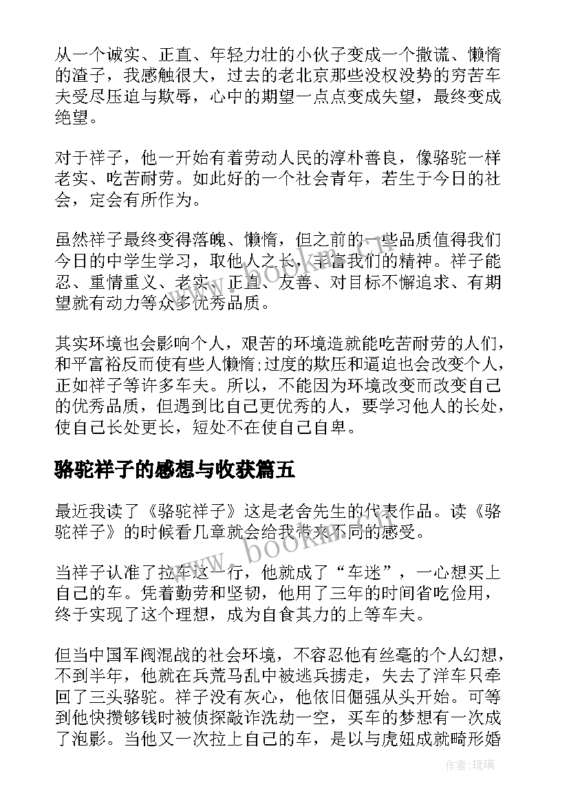 2023年骆驼祥子的感想与收获 骆驼祥子读书感想(实用7篇)