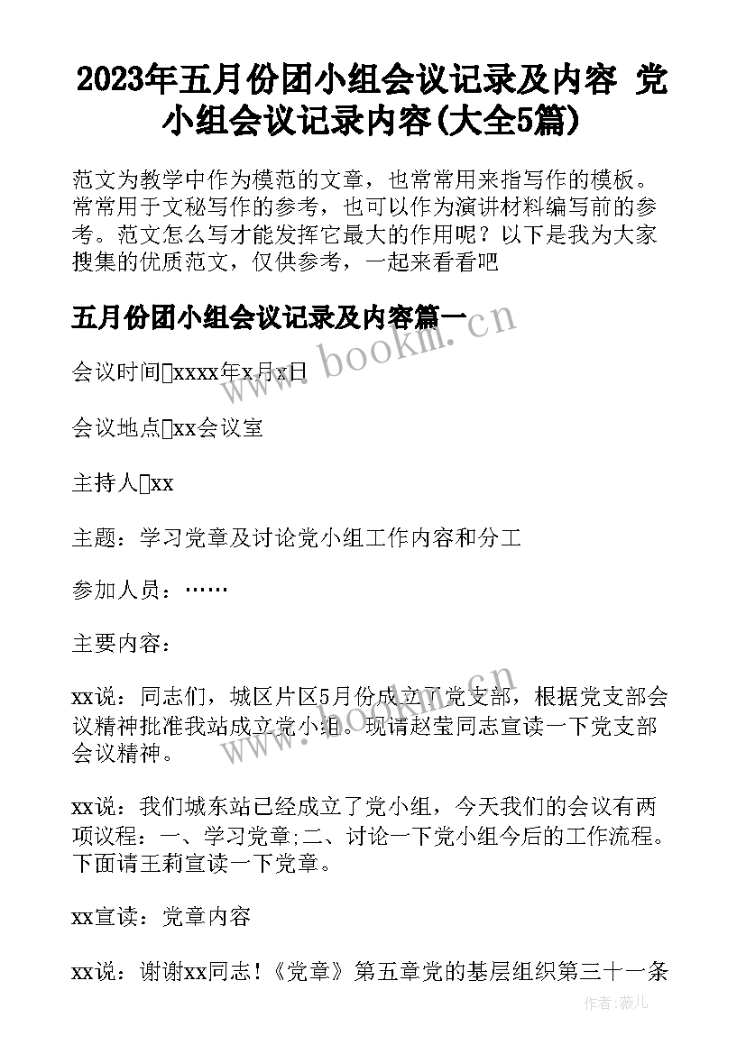 2023年五月份团小组会议记录及内容 党小组会议记录内容(大全5篇)