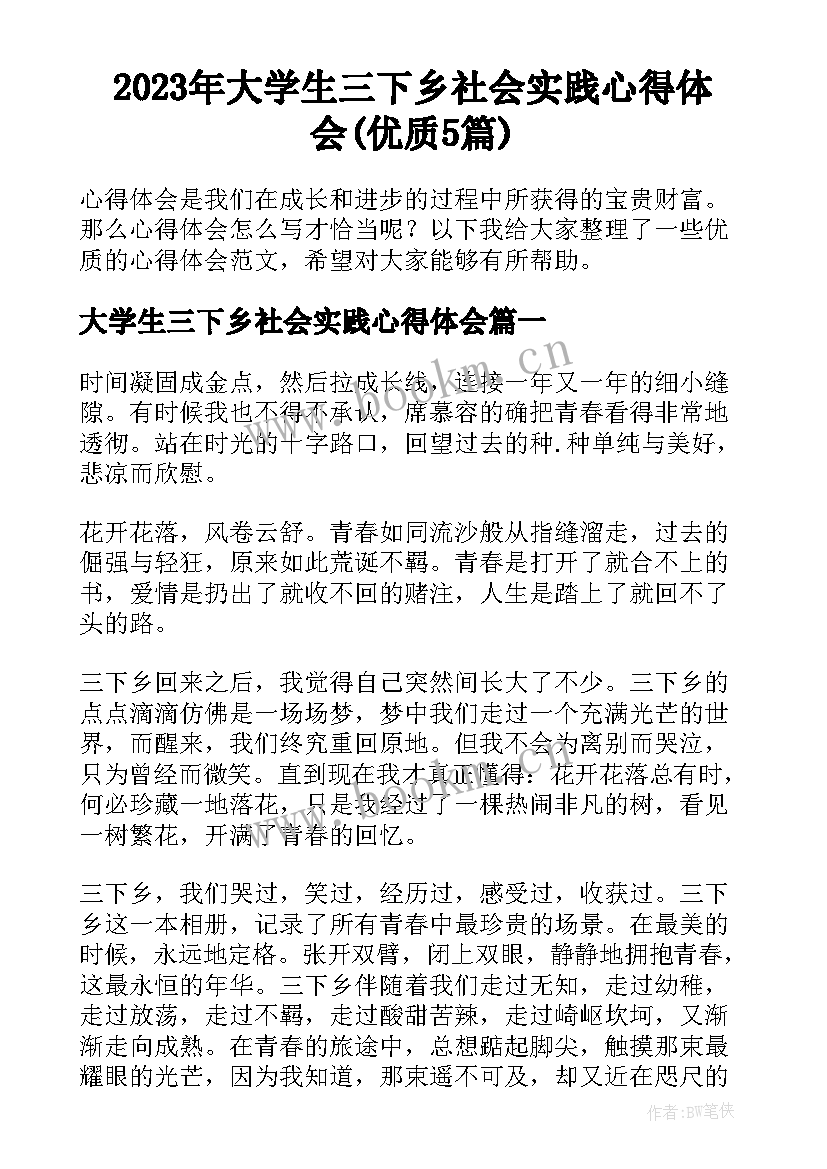 2023年大学生三下乡社会实践心得体会(优质5篇)