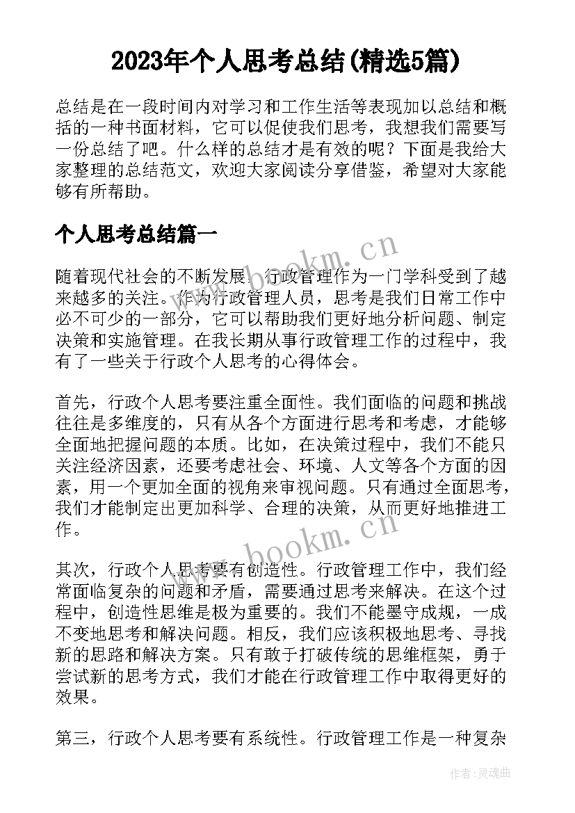 2023年个人思考总结(精选5篇)