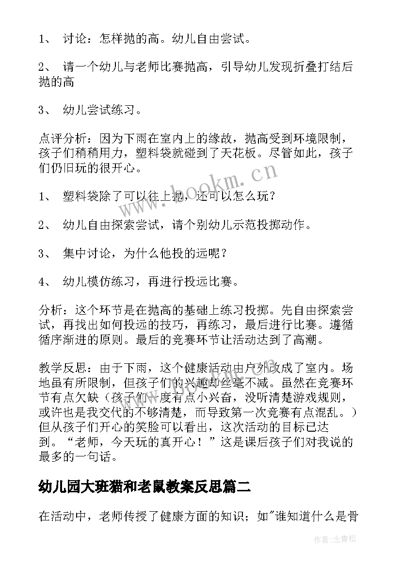 最新幼儿园大班猫和老鼠教案反思 幼儿园大班教学反思(模板6篇)