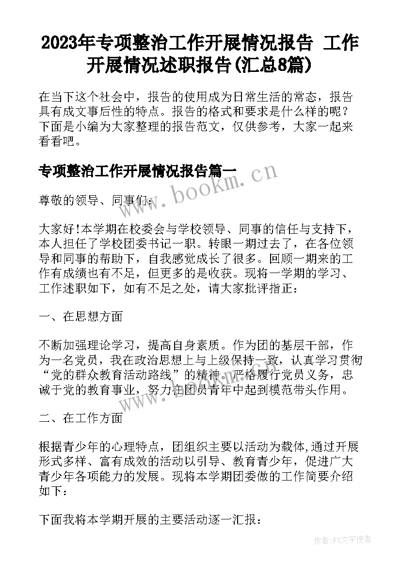 2023年专项整治工作开展情况报告 工作开展情况述职报告(汇总8篇)