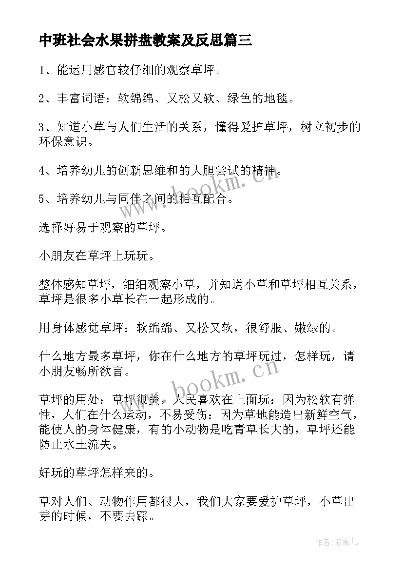 2023年中班社会水果拼盘教案及反思 中班社会教学反思(优质8篇)