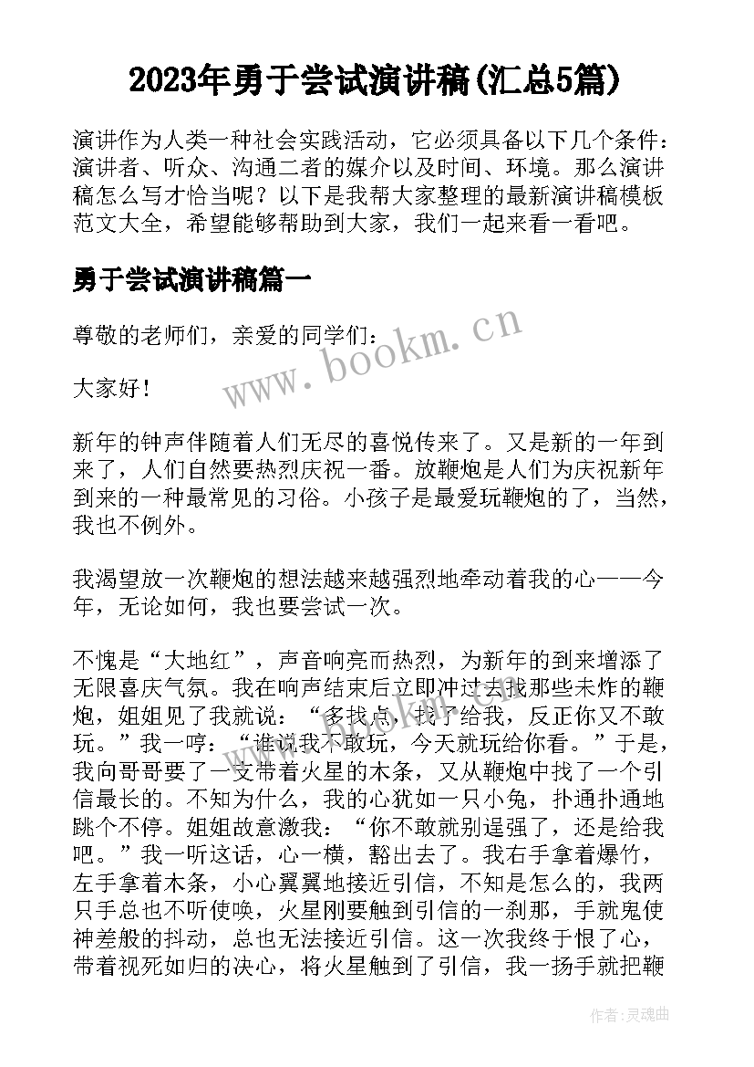 2023年勇于尝试演讲稿(汇总5篇)