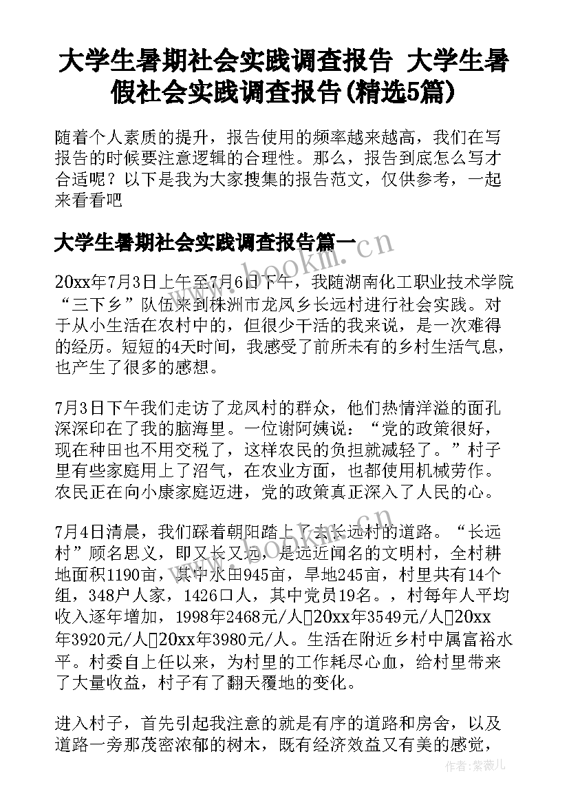 大学生暑期社会实践调查报告 大学生暑假社会实践调查报告(精选5篇)