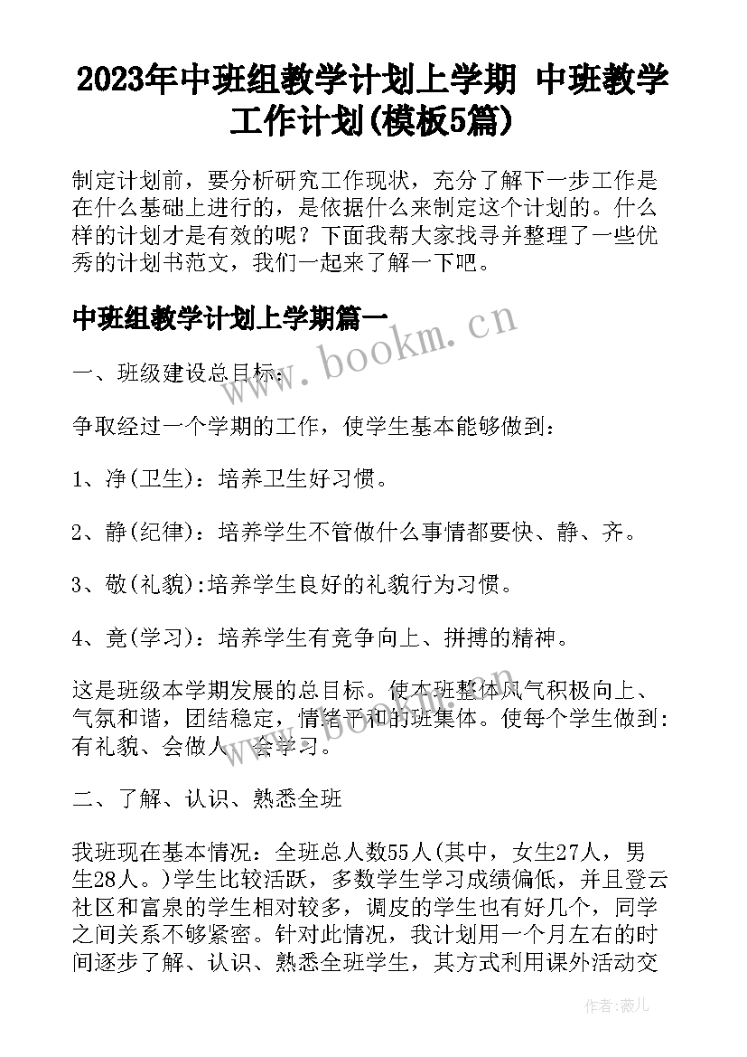 2023年中班组教学计划上学期 中班教学工作计划(模板5篇)