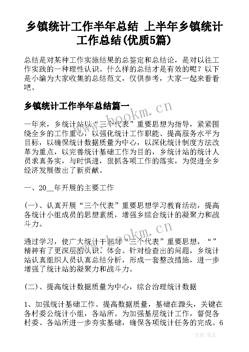 乡镇统计工作半年总结 上半年乡镇统计工作总结(优质5篇)