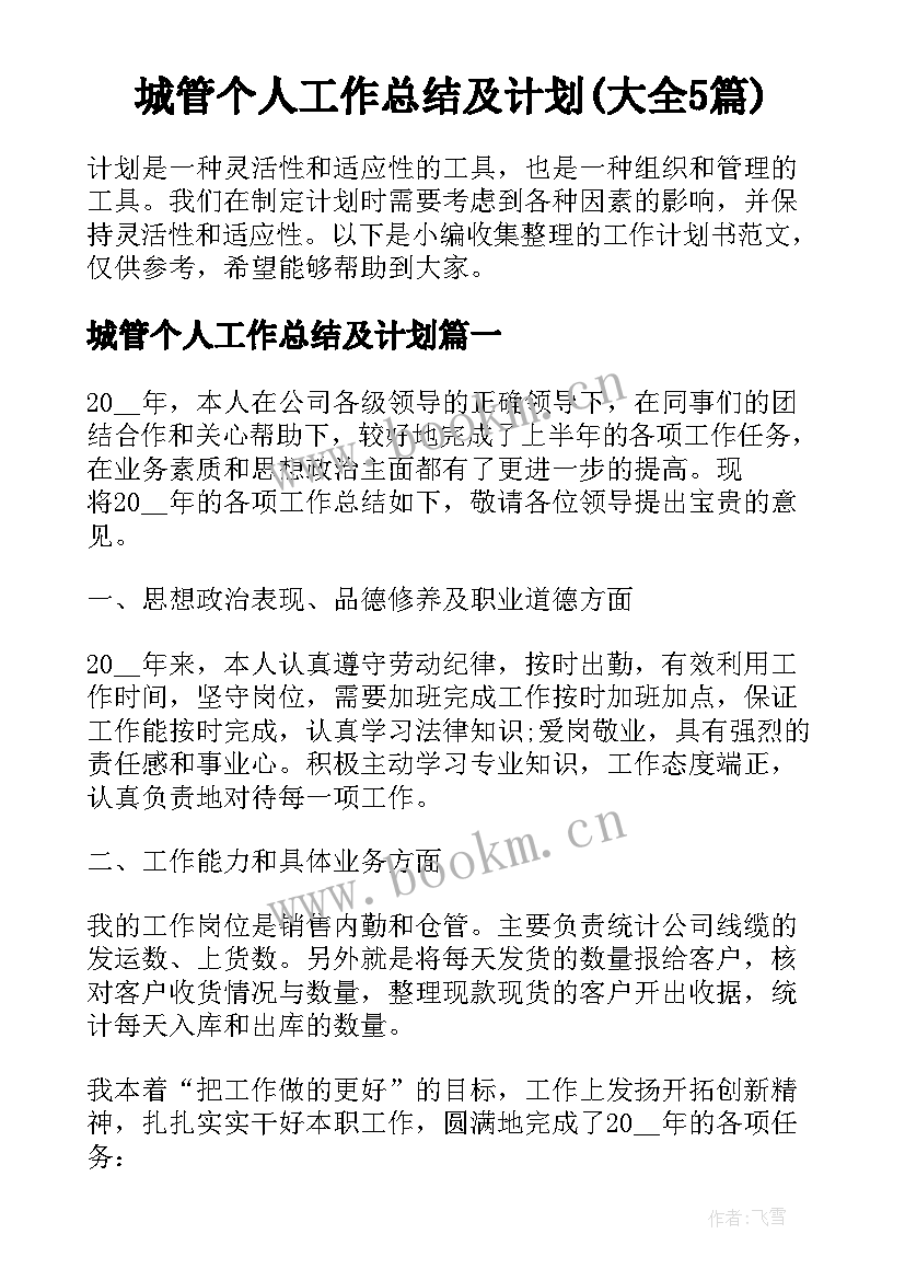 城管个人工作总结及计划(大全5篇)