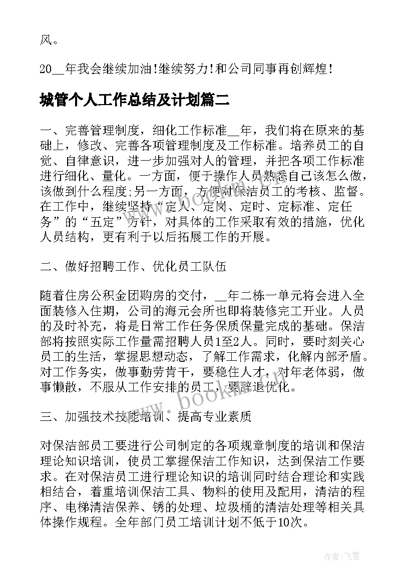 城管个人工作总结及计划(大全5篇)