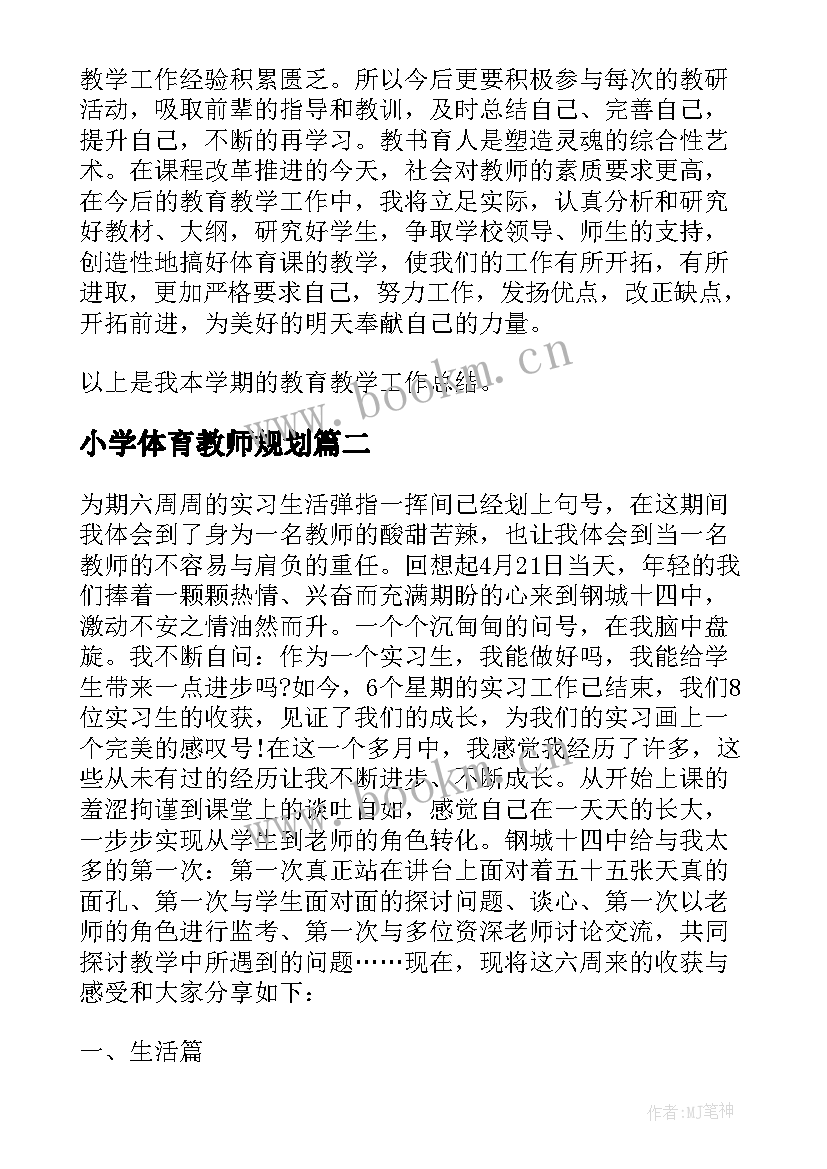 小学体育教师规划(精选6篇)