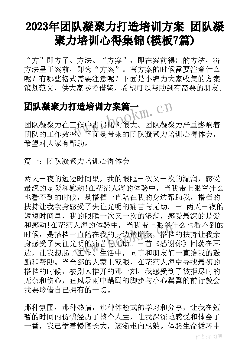 2023年团队凝聚力打造培训方案 团队凝聚力培训心得集锦(模板7篇)