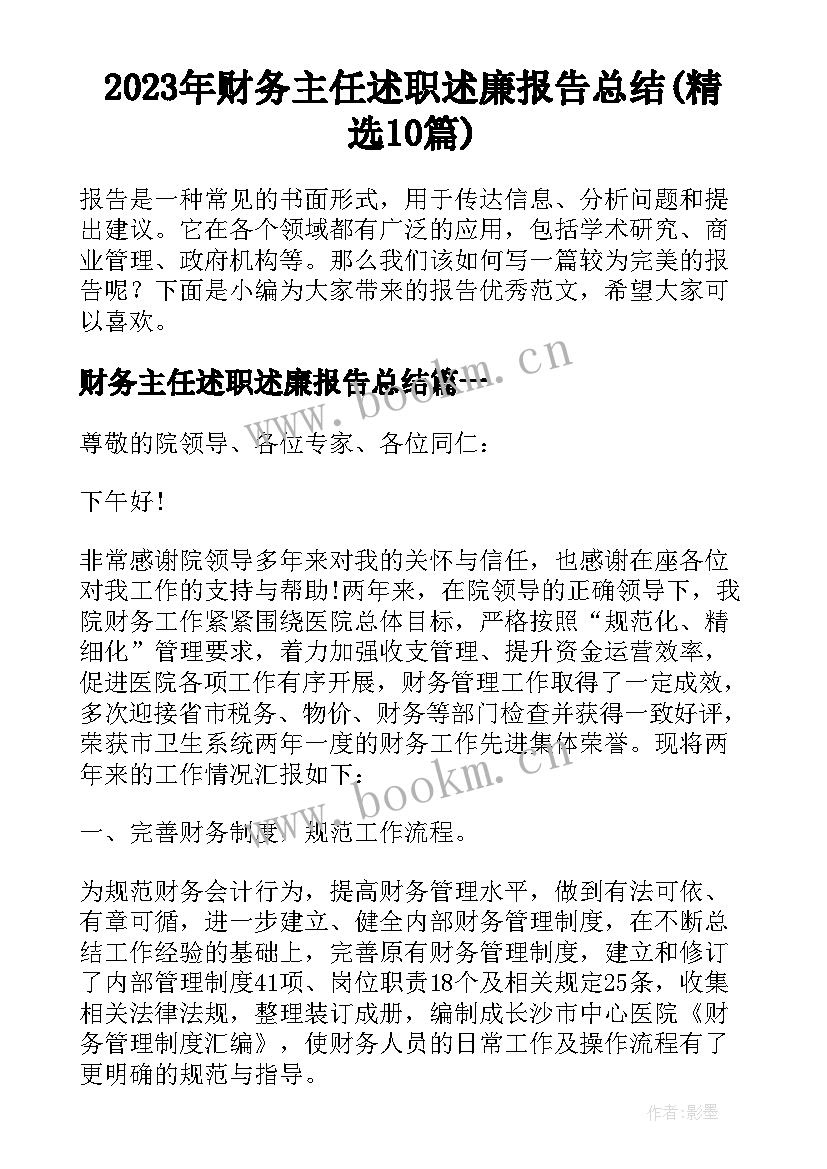 2023年财务主任述职述廉报告总结(精选10篇)