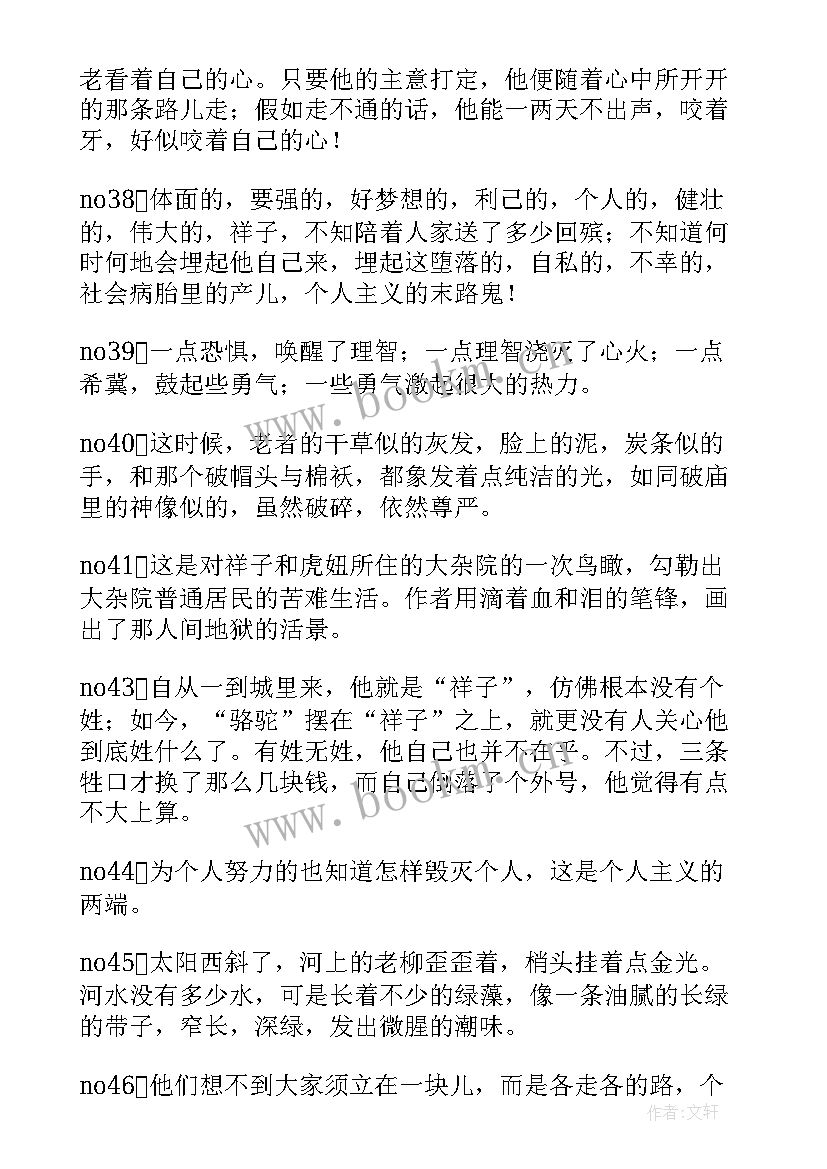 2023年读书笔记摘抄骆驼祥子 骆驼祥子摘抄(精选5篇)