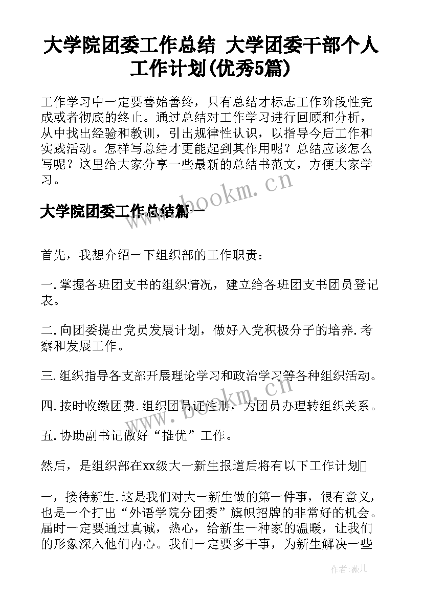 大学院团委工作总结 大学团委干部个人工作计划(优秀5篇)