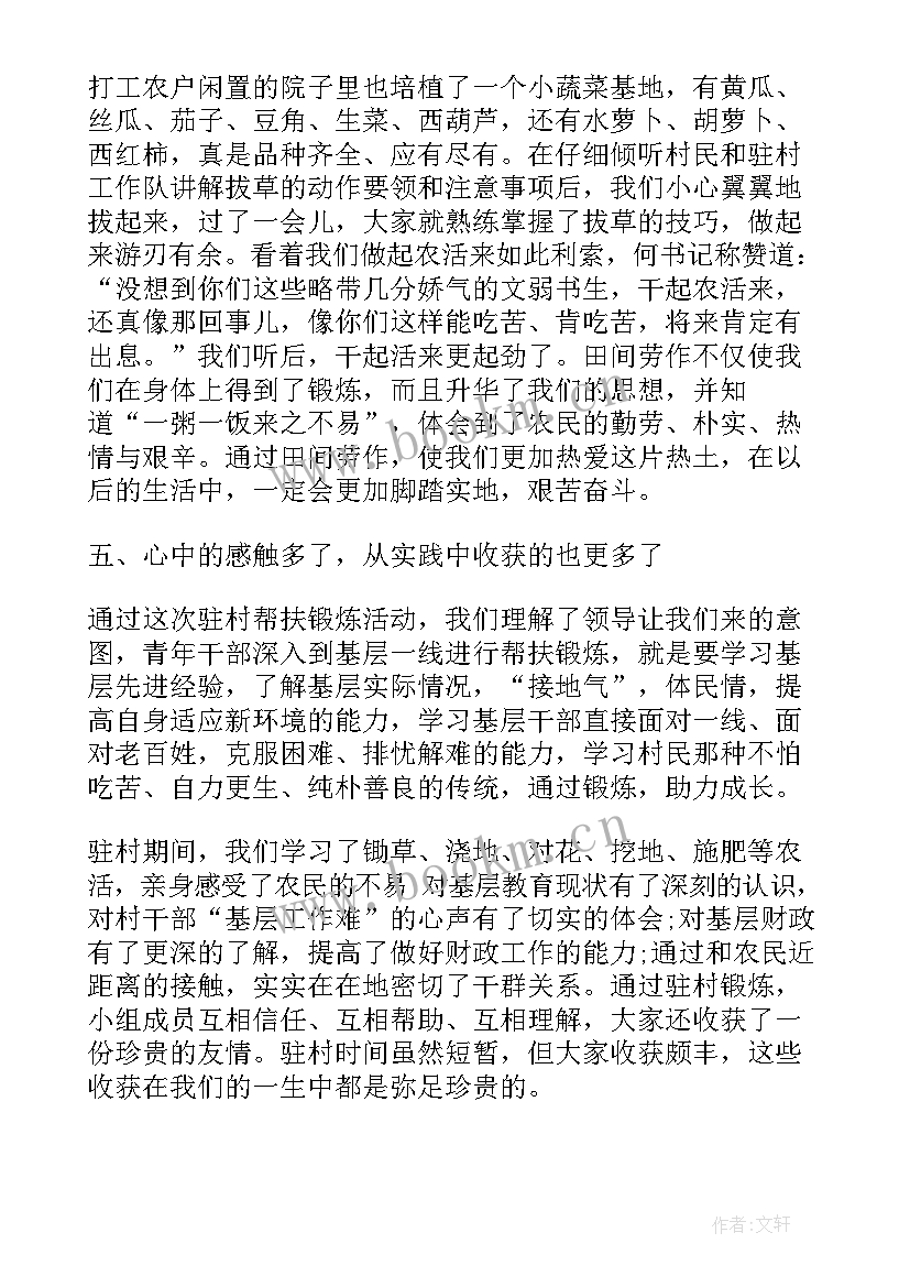 最新党组书记述职述责述廉报告(精选9篇)