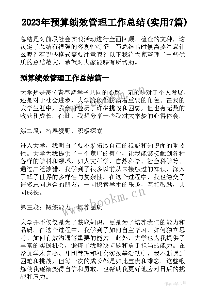 2023年预算绩效管理工作总结(实用7篇)