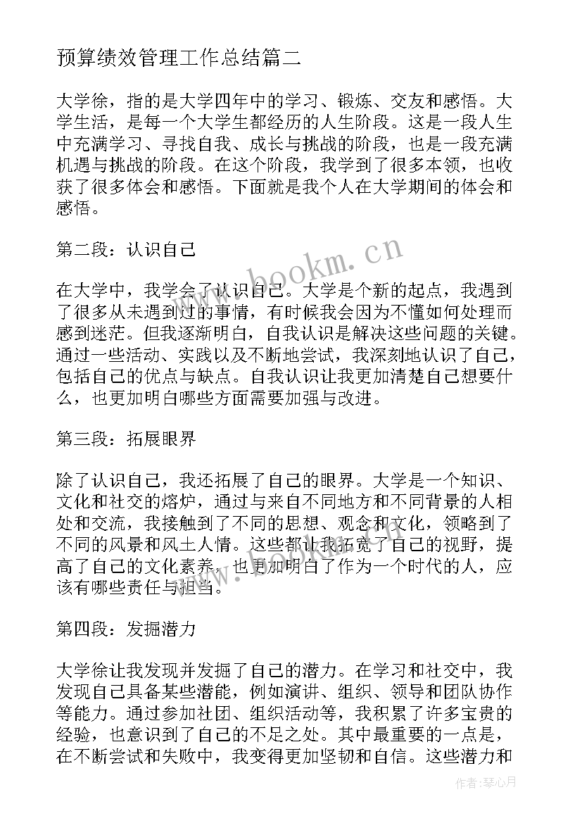 2023年预算绩效管理工作总结(实用7篇)