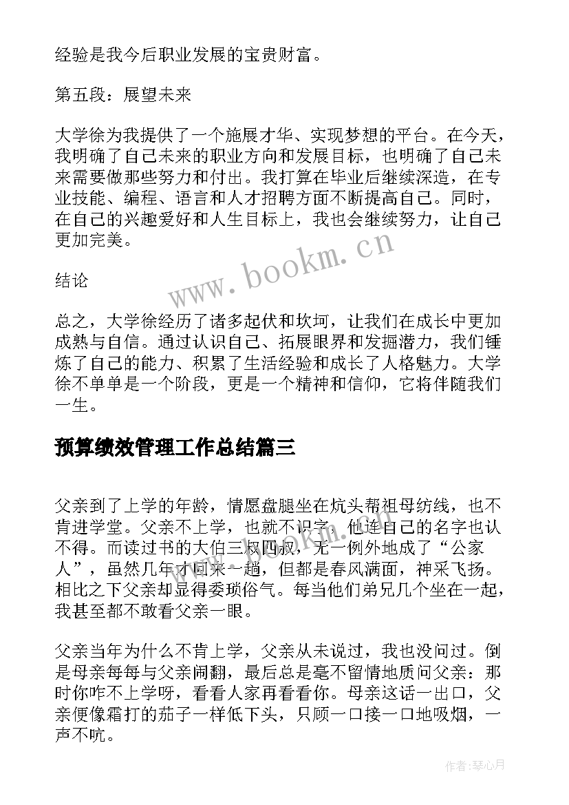 2023年预算绩效管理工作总结(实用7篇)