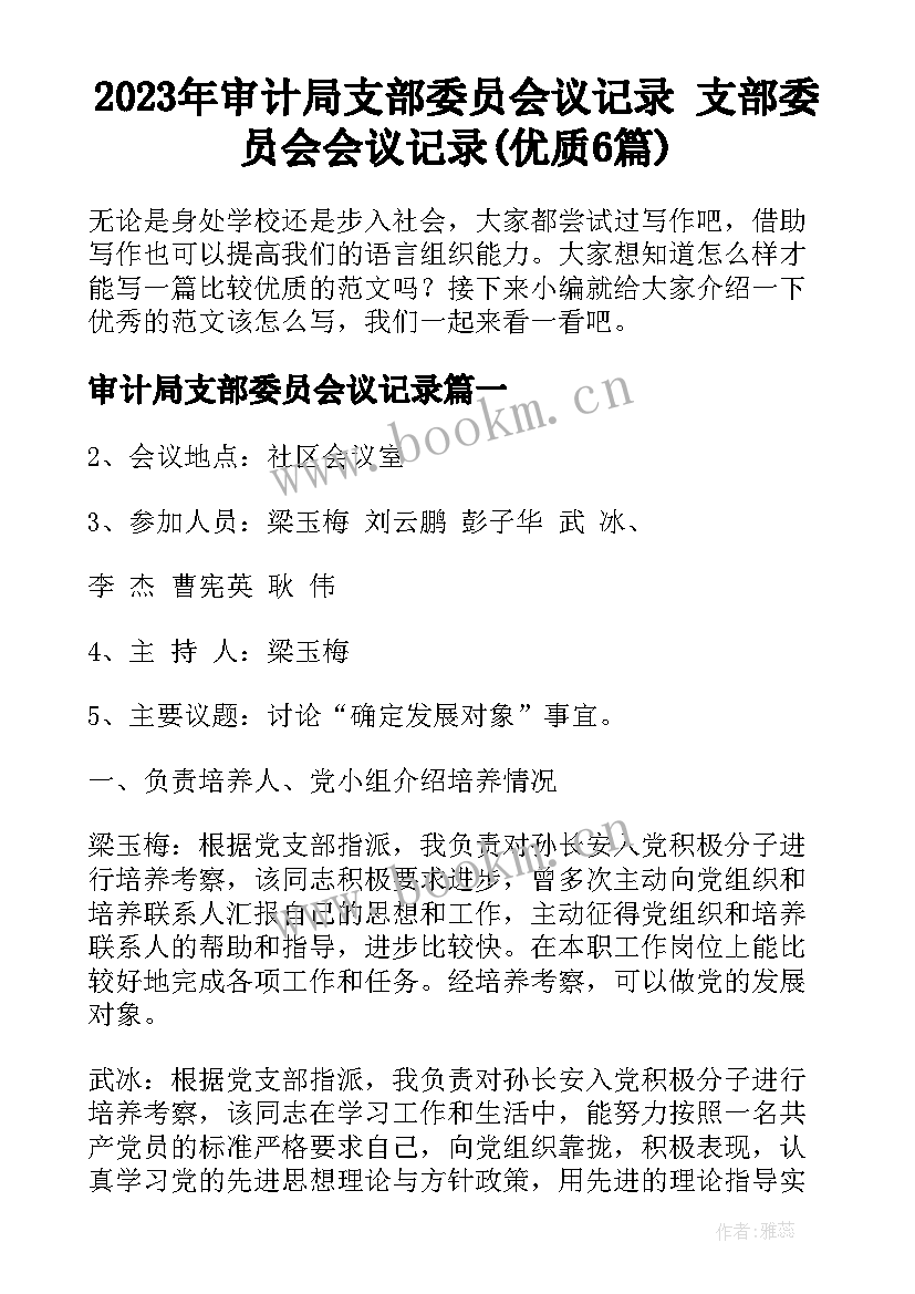 2023年审计局支部委员会议记录 支部委员会会议记录(优质6篇)