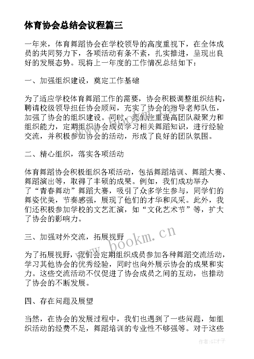 2023年体育协会总结会议程 体育舞蹈协会总结(大全5篇)