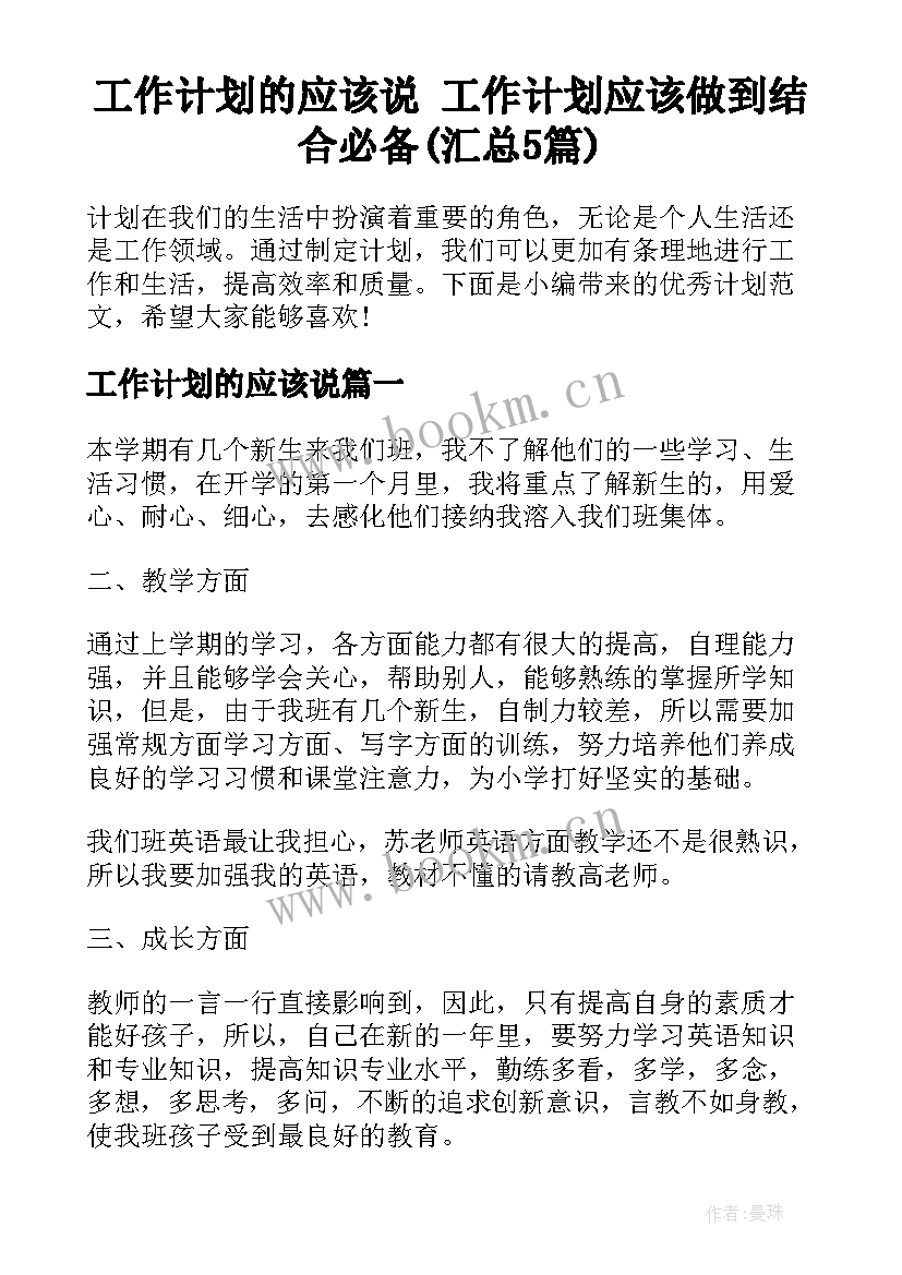 工作计划的应该说 工作计划应该做到结合必备(汇总5篇)