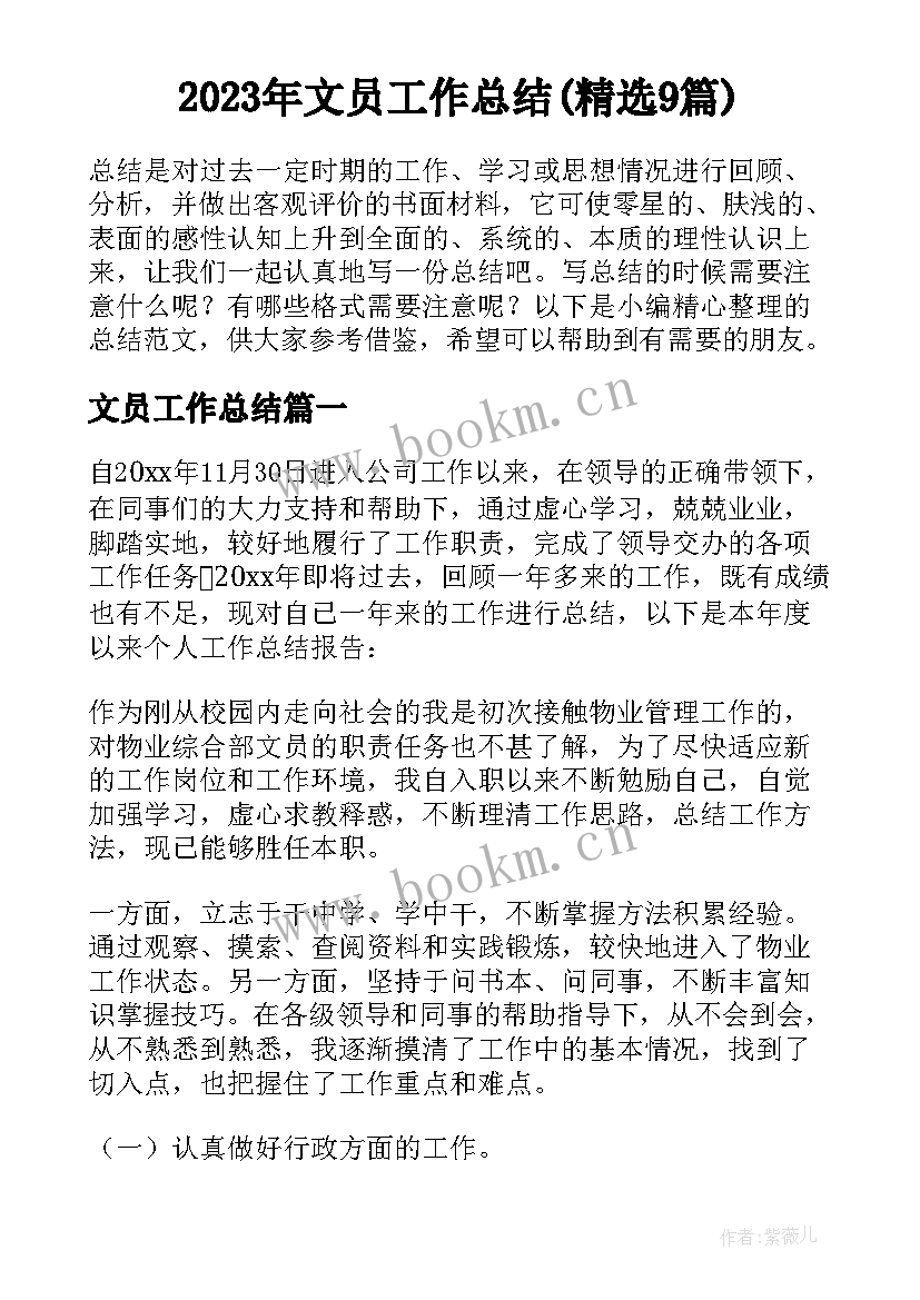 2023年文员工作总结(精选9篇)