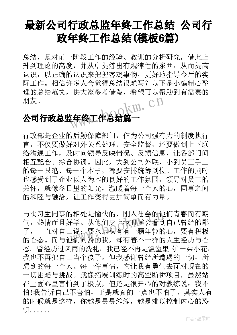 最新公司行政总监年终工作总结 公司行政年终工作总结(模板6篇)