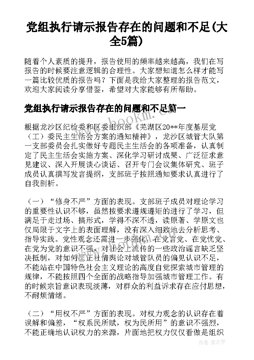 党组执行请示报告存在的问题和不足(大全5篇)