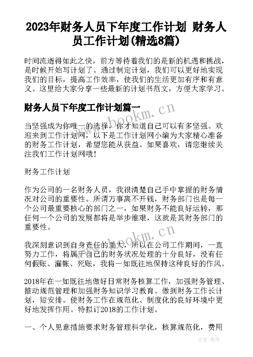 2023年财务人员下年度工作计划 财务人员工作计划(精选8篇)